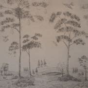 Mythical Land Monochrome | Tree Wall Mural