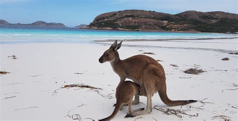 Cape Le Grand - Fitzgerald National Park - Guided Walking Tours