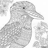 Coloring Page Australian Kookaburra Bird Freehand Sketch Drawing For  sketch template