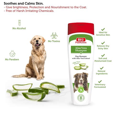 Can You Use Aloe Vera On Dogs Skin