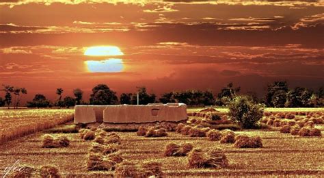 Village Life, Village Houses, Punjab Culture, Village Photos, Pakistan Travel, Sunset Views ...