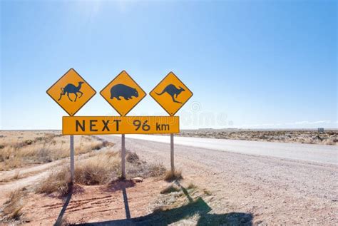 Australian Wildlife Crossing Sign Stock Photo - Image of black, road: 28955524