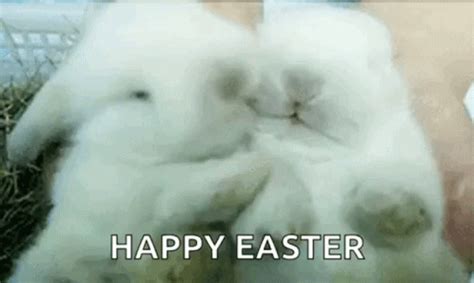 Bunny Kiss GIF - Bunny Kiss Cute - Discover & Share GIFs