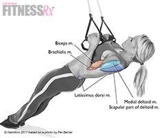 When Fully Extending the Hips During the TRX Row is Wrong...