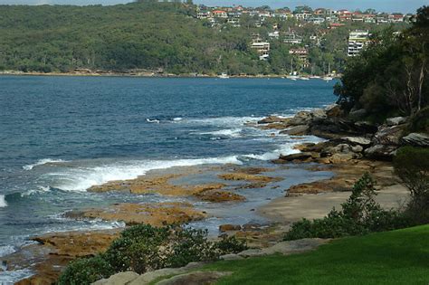 Manly Beach | Shutterbug