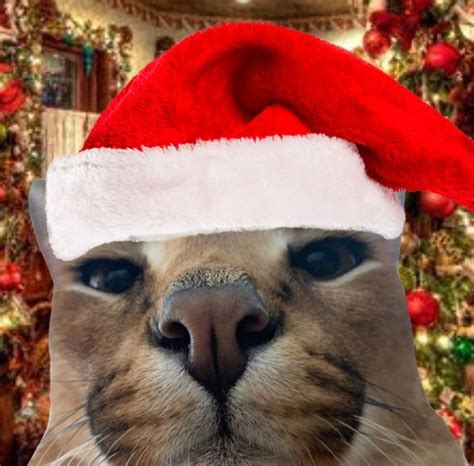 Christmas pfp floppa! | Cat memes, Christmas memes, Dog memes