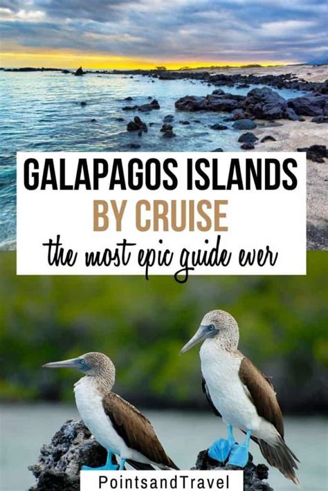 Galapagos Islands By Cruise: A Complete Guide