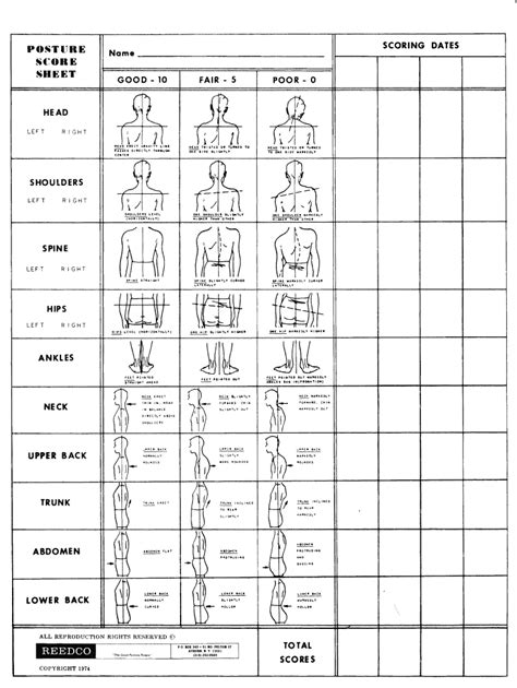 Reedco Posture Assessment - Fill Online, Printable, Fillable, Blank ...