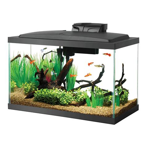 Using a fish tank with LED cover as a terrarium : terrariums