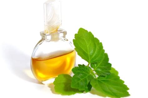 15 Amazing Benefits of Patchouli Essential Oil | Organic Facts