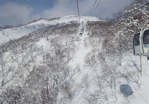 Niseko Village Ski Resort, Ratings, Snow