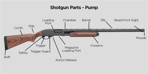 Shotgun Basics: Identifying parts and functions | Tactical Gear ...