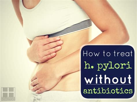 How to Treat H. Pylori Naturally - Hollywood Homestead