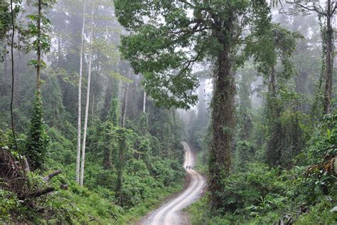 Danum Valley - Dschungel-Erlebnis der Superlative | abenteuer-borneo.de