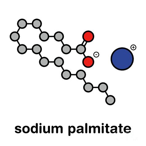 Sodium Palmitate Soap Molecule Photograph by Molekuul/science Photo Library