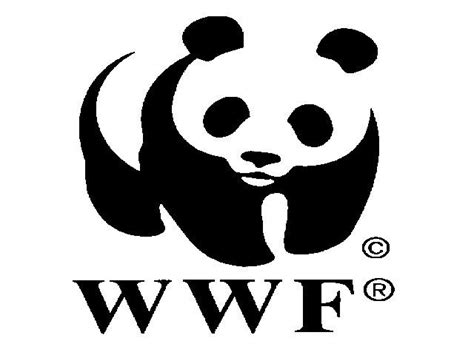 WWF launches Green Schools Programme - The Express Tribune