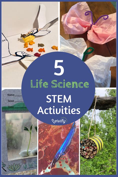 5 Life Science STEM Activities for Elementary — Vivify STEM Life ...