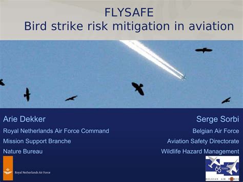 FLYSAFE Bird strike risk mitigation in aviation - Integrated ...