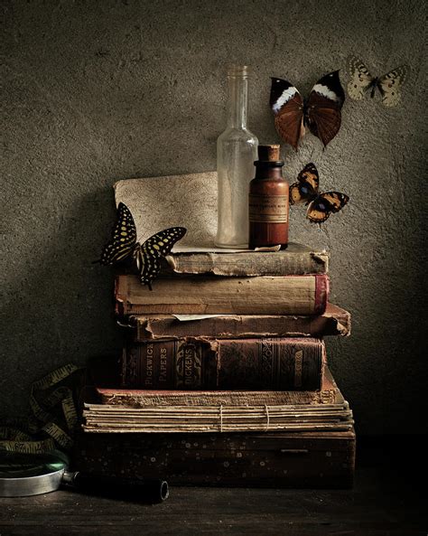 Butterflies And Old Books by Glasshouse Images