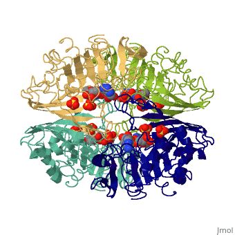 Glyceraldehyde 3 Phosphate Structure