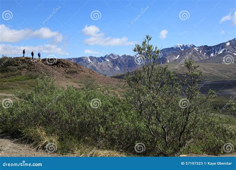 Hiking Trails in Denali National Park Stock Image - Image of skies ...