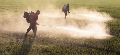 Introduction to Pesticides - Northwest Center for Alternatives to Pesticides