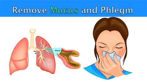 5 Ways to Remove Mucus and Phlegm From The Chest and Throat - WomenWorking