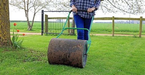 3 Best Lawn Rollers For Your Garden (2021 Review)