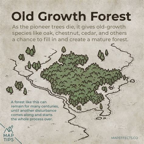 Forests - Where to Place them on Your Fantasy Maps — Map Effects