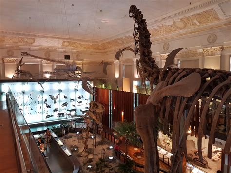 See the Dinosaurs at the National Taiwan Museum - Taipei Travel Geek