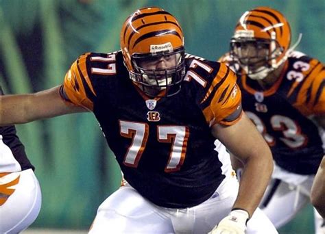 Andrew Whitworth | Cincinnati bengals, Bengals, Nfl football