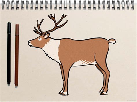 How to draw a Reindeer Reindeer Drawing Ideas