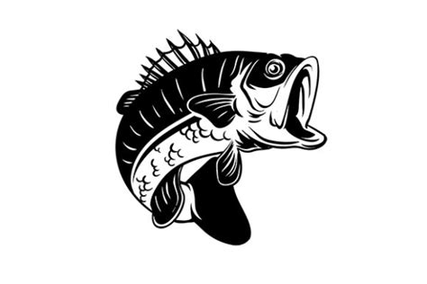 Bass Fish Vintage Silhouette Vector Graphic by GRAPPIX studio ...