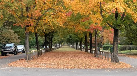 Where to see fall foliage near Richmond, VA - RICtoday