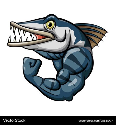 Barracuda Cartoon