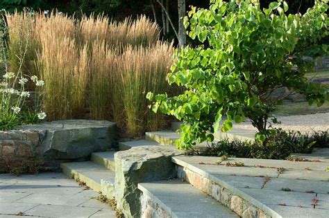 Home — Dan Pearson Studio | Landscape design, Garden landscape design, Hard landscaping ideas