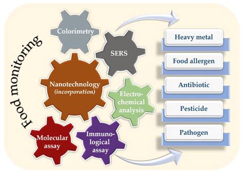 Nanomaterials | Free Full-Text | Recent Progress in Nanotechnology ...