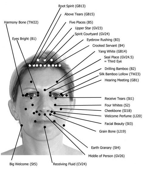 Head Acupuncture Points Chart