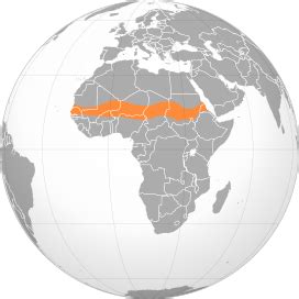 Sahel - Wikipedia