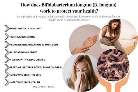 Bifidobacterium Longum-Benefits Of This Powerful Probiotic Bacteria | Prana Thrive