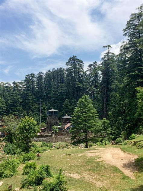 Jageshwar Dham Temple in Uttarakhand – The Bum who Travels