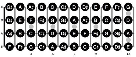 Bass Fretboard Notes : Fretboard Note Chart Tbm : Jul 03, 2019 · you’ll find movable pentatonic ...