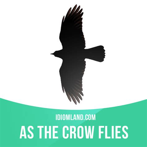 Idiom Land — “As the crow flies” means “by the most direct way,...