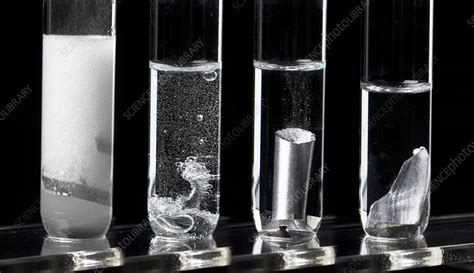 Reaction of metals in hydrochloric acid - Stock Image C029/5896 - Science Photo Library