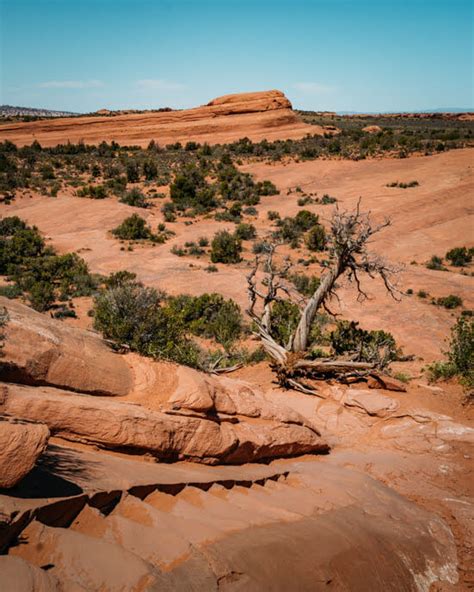 Delicate-Arch-Hike | Fun Life Crisis