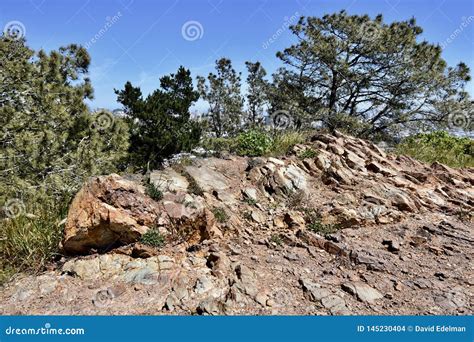 Franciscan Chert Rock From The Age Of Reptiles, 4. Stock Photo - Image of folded, chert: 145230404