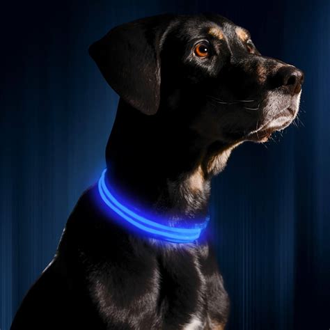 LED Dog Collar (Light Up Dog Collar) - Illumiseen