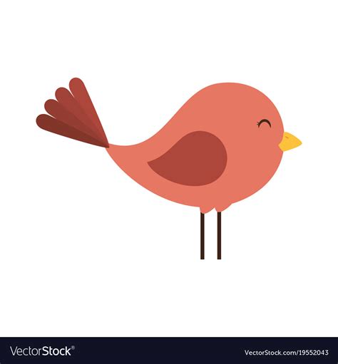 Cute bird isolated icon Royalty Free Vector Image