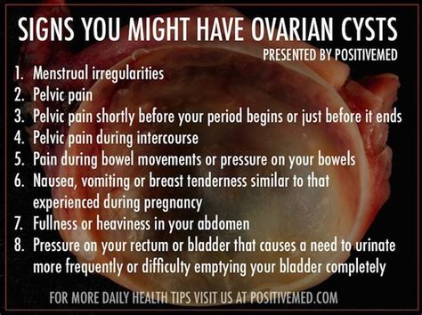 8 Signs You Might Have an Ovarian Cyst | Signs, Ovarian cyst and Ovarian cyst symptoms