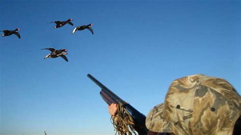 5 Duck Hunting Gear Tips Every Hunter Should Know About